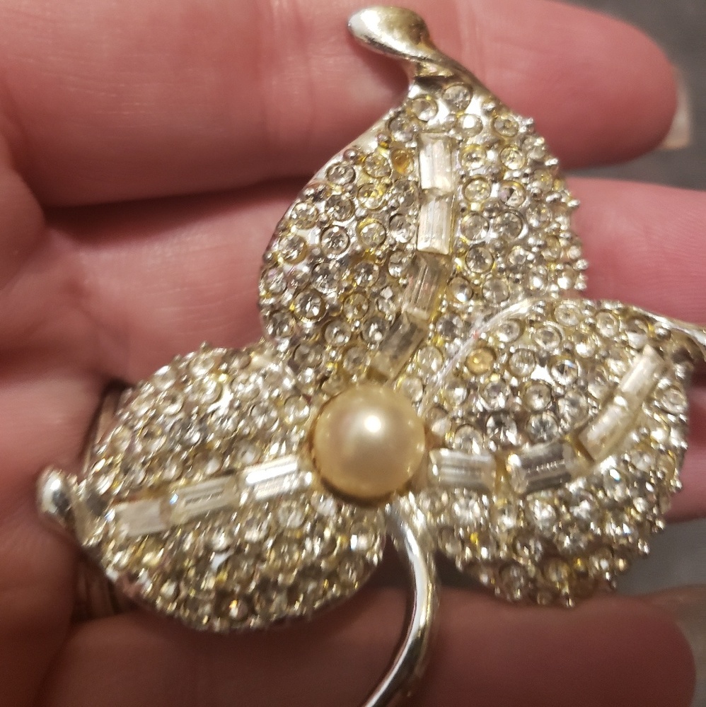 Beautiful sparkling broach